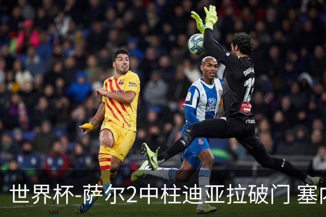 世界杯-萨尔2中柱迪亚拉破门 塞内加尔半场暂1-0比利时